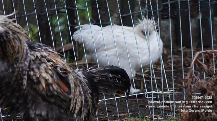 jDSC05968- poezie-podium Letterbekken - Zomerzwoele Dichterstuin - aan de Pelssingel  - 10juli019 -  foto GerardMontE web