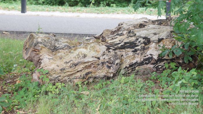 DSC04714- Babel-bieb voorlezen buiten de deur - Zorgboerderij Oosterhoeve Oosterplas - 14juli2019 -  foto GerardMontE web
