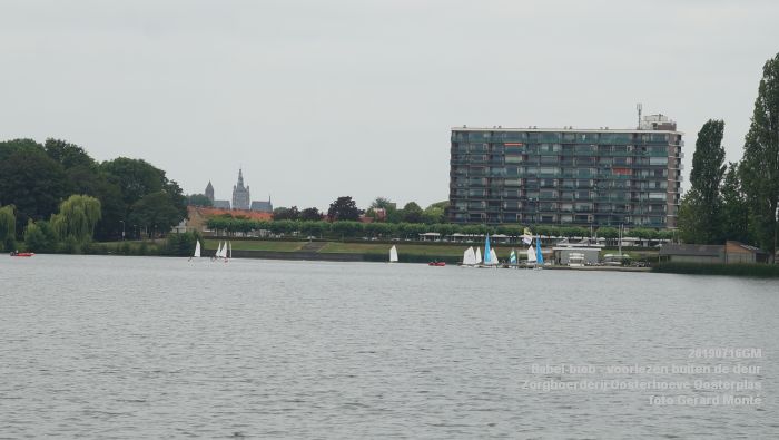 DSC04719- Babel-bieb voorlezen buiten de deur - Zorgboerderij Oosterhoeve Oosterplas - 14juli2019 -  foto GerardMontE web