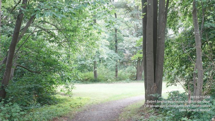 DSC04722- Babel-bieb voorlezen buiten de deur - Zorgboerderij Oosterhoeve Oosterplas - 14juli2019 -  foto GerardMontE web