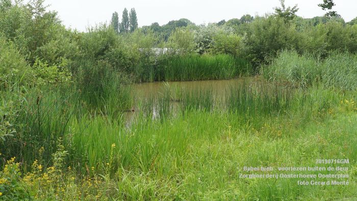DSC04723- Babel-bieb voorlezen buiten de deur - Zorgboerderij Oosterhoeve Oosterplas - 14juli2019 -  foto GerardMontE web