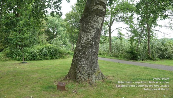 DSC04726- Babel-bieb voorlezen buiten de deur - Zorgboerderij Oosterhoeve Oosterplas - 14juli2019 -  foto GerardMontE web