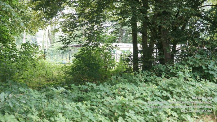 DSC04727- Babel-bieb voorlezen buiten de deur - Zorgboerderij Oosterhoeve Oosterplas - 14juli2019 -  foto GerardMontE web