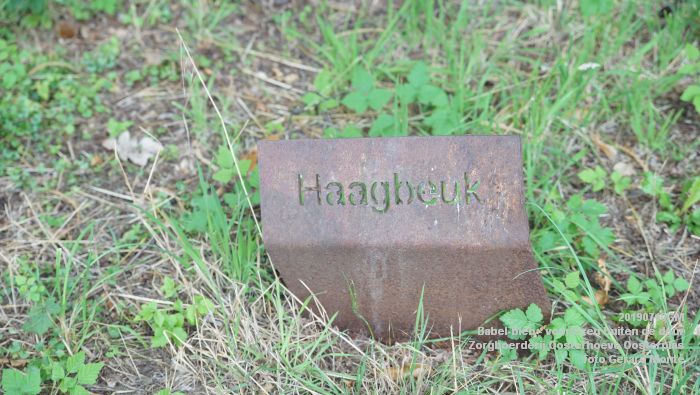 DSC04728- Babel-bieb voorlezen buiten de deur - Zorgboerderij Oosterhoeve Oosterplas - 14juli2019 -  foto GerardMontE web