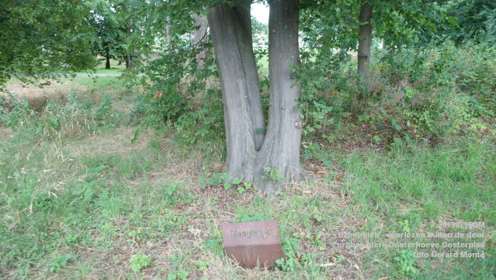 DSC04729- Babel-bieb voorlezen buiten de deur - Zorgboerderij Oosterhoeve Oosterplas - 14juli2019 -  foto GerardMontE web