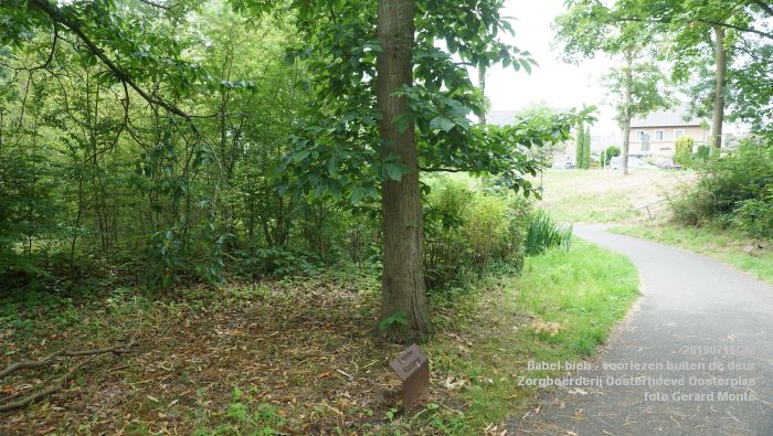 DSC04730- Babel-bieb voorlezen buiten de deur - Zorgboerderij Oosterhoeve Oosterplas - 14juli2019 -  foto GerardMontE web