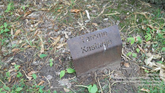 DSC04731- Babel-bieb voorlezen buiten de deur - Zorgboerderij Oosterhoeve Oosterplas - 14juli2019 -  foto GerardMontE web