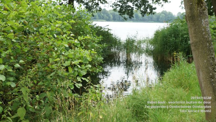 DSC04732- Babel-bieb voorlezen buiten de deur - Zorgboerderij Oosterhoeve Oosterplas - 14juli2019 -  foto GerardMontE web