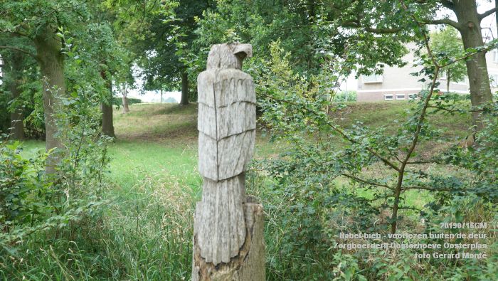 DSC04733- Babel-bieb voorlezen buiten de deur - Zorgboerderij Oosterhoeve Oosterplas - 14juli2019 -  foto GerardMontE web