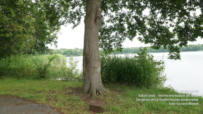 DSC04734- Babel-bieb voorlezen buiten de deur - Zorgboerderij Oosterhoeve Oosterplas - 14juli2019 -  foto GerardMontE web
