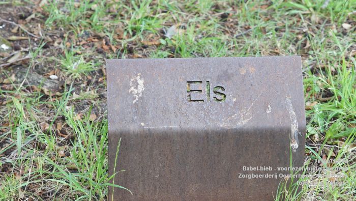 DSC04735- Babel-bieb voorlezen buiten de deur - Zorgboerderij Oosterhoeve Oosterplas - 14juli2019 -  foto GerardMontE web