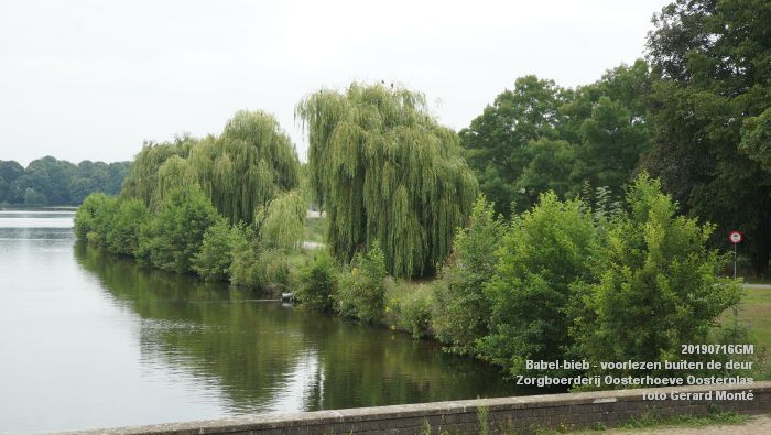 DSC04743- Babel-bieb voorlezen buiten de deur - Zorgboerderij Oosterhoeve Oosterplas - 14juli2019 -  foto GerardMontE web