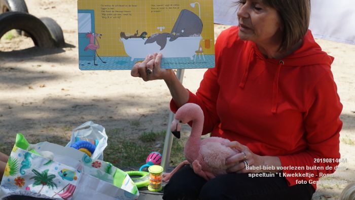 FDSC05414- Babel-bieb voorlezen buiten de deur - t Kwekkeltje Rosmalen  - 14aug2019 - foto GerardMontE web