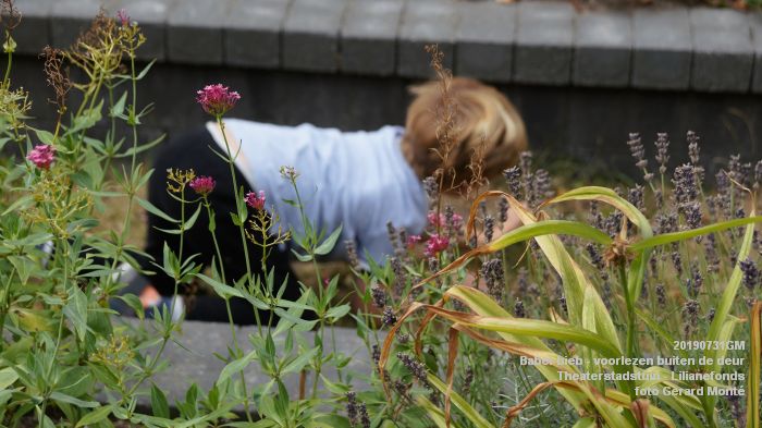 EDSC02413- Babel-bieb voorlezen buiten de deur - Theaterstadstuin Lilianefonds  - 31juli2019 -  foto GerardMontE web
