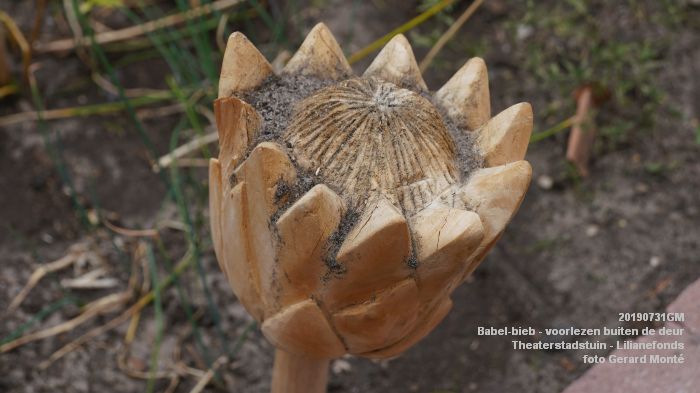 EDSC02432- Babel-bieb voorlezen buiten de deur - Theaterstadstuin Lilianefonds  - 31juli2019 -  foto GerardMontE web