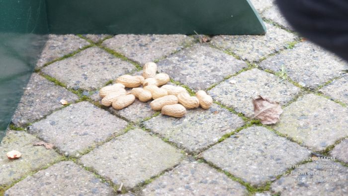 DSC09459- Vicky Brown-huis Den Bosch - Open dag - Gezin en Kanker - met studenten kw1c - 15feb2020 - foto GerardMontE web