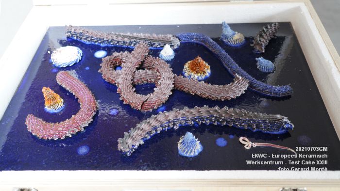 DSC00430- EKWC - Europees Keramisch Werkcentrum in Oisterwijk - Test Case XXIII - 3juli2021 - foto GerardMontE web