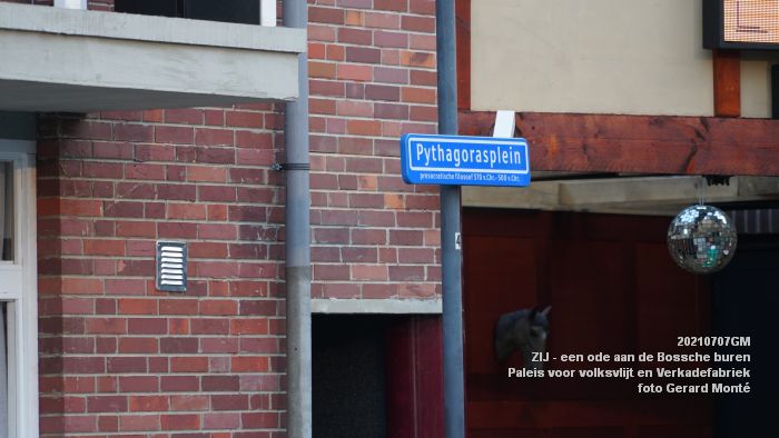 DSC00904- ZIJ een ode aan de Bossche buren - Paleis voor volksvlijt en Vf - 7juli2021 - foto GerardMontE web