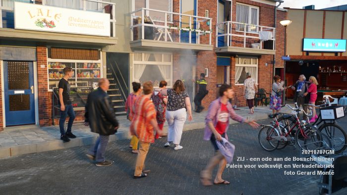 DSC01005- ZIJ een ode aan de Bossche buren - Paleis voor volksvlijt en Vf - 7juli2021 - foto GerardMontE web