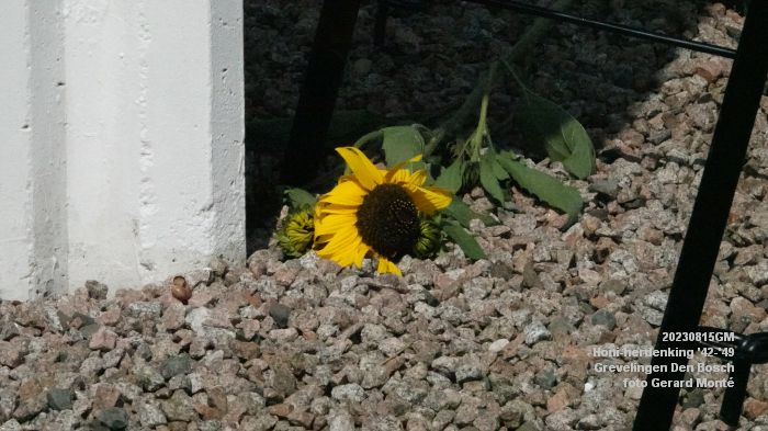 EDSC01351- Honi-herdenking Grevelingen Den Bosch - 15aug2023 - foto GerardMontE web