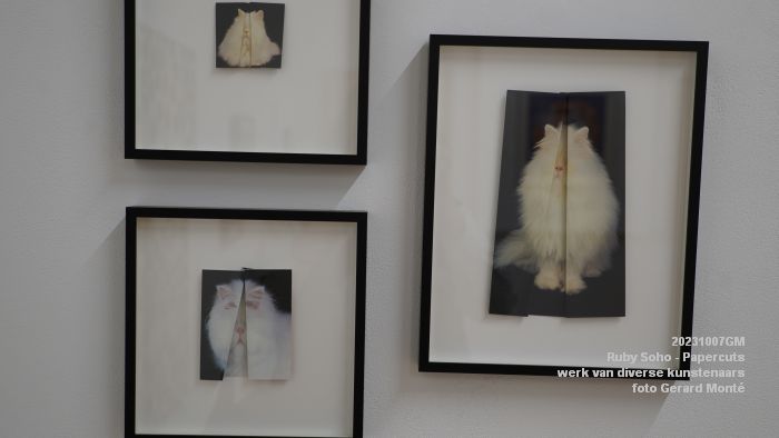 DSC05032- Ruby Soho Papercuts - 7okt2023 - foto GerardMontE web