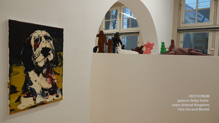 DSC03253- Ruby Soho Animal Kingdom - 28dec2023 - foto GerardMontE web