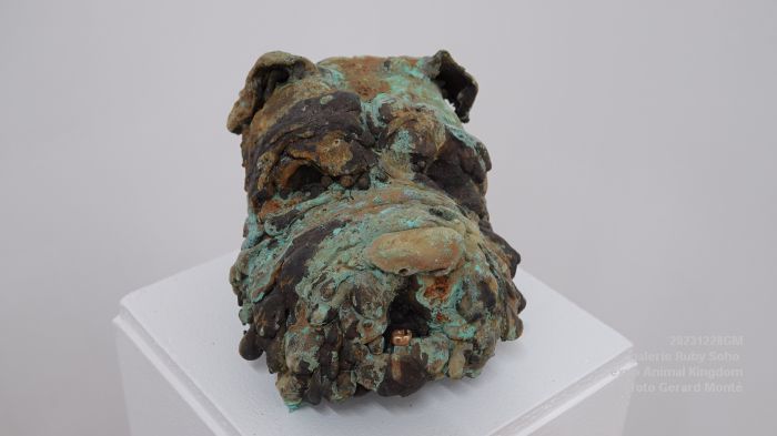 DSC03258- Ruby Soho Animal Kingdom - 28dec2023 - foto GerardMontE web