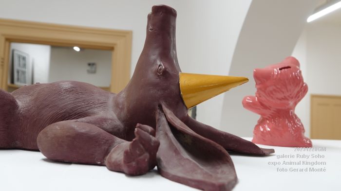 DSC03260- Ruby Soho Animal Kingdom - 28dec2023 - foto GerardMontE web