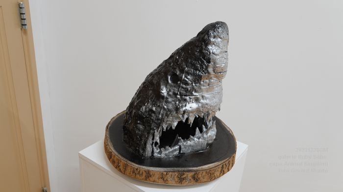 DSC03272- Ruby Soho Animal Kingdom - 28dec2023 - foto GerardMontE web