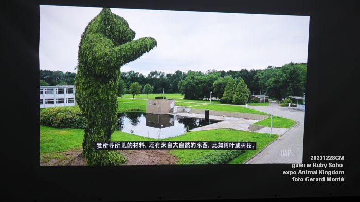 DSC03281- Ruby Soho Animal Kingdom - 28dec2023 - foto GerardMontE web