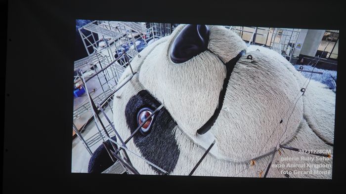 DSC03287- Ruby Soho Animal Kingdom - 28dec2023 - foto GerardMontE web
