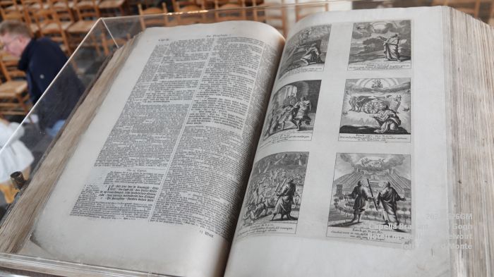 eDSC01274-eDSC08708- Van Gogh - Noten op de Noen - Helvoirt - 26mei2024 - foto Gerard MontE web