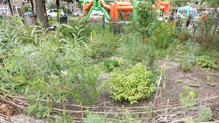 DSC04096- - Taxandria Moves op het Taxandriaplein - 30jun2024 - foto GerardMontE web