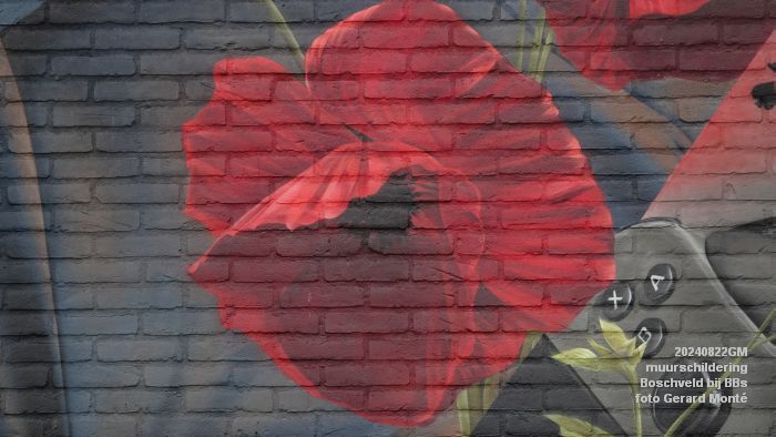 DSC06734- Muurschildering - Boschveld bij BBs - 22aug2024 - foto GerardMontE DSC06734- Muurschildering - Boschveld bij BBs - 22aug2024 - foto GerardMontE