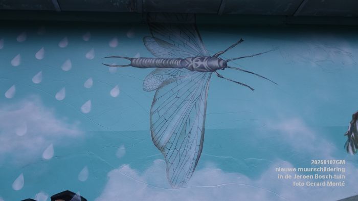 DSC00900- nieuwe muurschildering in de Jeroen Bosch-tuin - 7jan2025 - foto GerardMontE web DSC00900- nieuwe muurschildering in de Jeroen Bosch-tuin - 7jan2025 - foto GerardMontE web