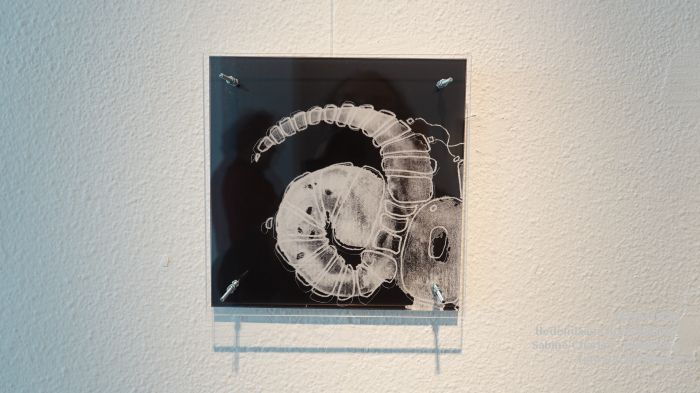 DSC00453- Hedendaags Kunstkabinet - Sabine Charles - expo Symbiose - 19apr2025 -  foto GerardMontE web