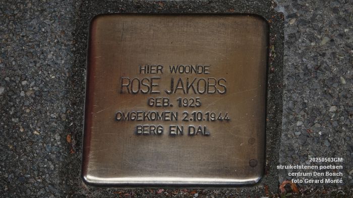 DSC01989- struikelstenen poetsen - 3mei2025 - foto GerardMontE web DSC01989- struikelstenen poetsen - 3mei2025 - foto GerardMontE web