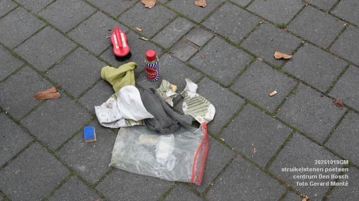 DSC09976- struikelstenen poetsen - centrum Den Bosch - 19okt2025 - foto GerardMontE DSC09976- struikelstenen poetsen - centrum Den Bosch - 19okt2025 - foto GerardMontE