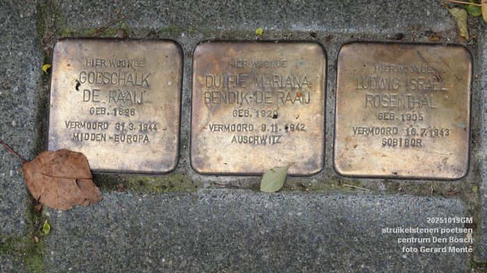 eDSC00033- struikelstenen poetsen - centrum Den Bosch - 19okt2025 -  foto GerardMontE