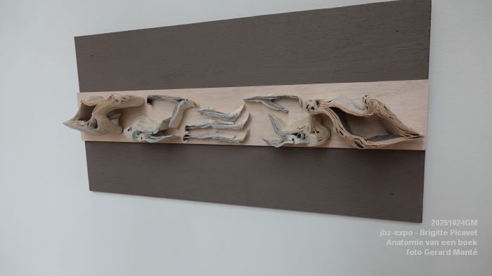 DSC08828- jbz-expo - Brigitte Picavet - Anatomie van een boek - 24okt2025 - foto GerardMontE DSC08828- jbz-expo - Brigitte Picavet - Anatomie van een boek - 24okt2025 - foto GerardMontE