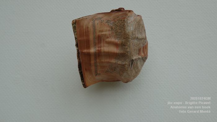 DSC08877- jbz-expo - Brigitte Picavet - Anatomie van een boek - 24okt2025 - foto GerardMontE DSC08877- jbz-expo - Brigitte Picavet - Anatomie van een boek - 24okt2025 - foto GerardMontE