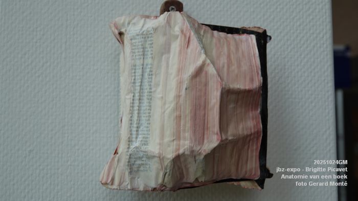 DSC08882- jbz-expo - Brigitte Picavet - Anatomie van een boek - 24okt2025 - foto GerardMontE DSC08882- jbz-expo - Brigitte Picavet - Anatomie van een boek - 24okt2025 - foto GerardMontE