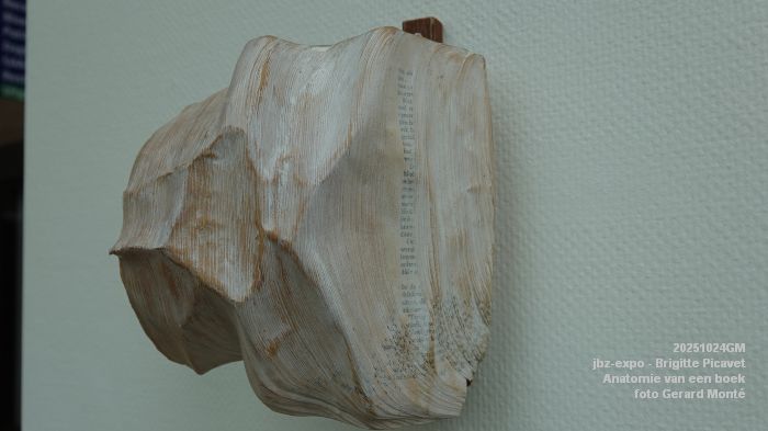 DSC08891- jbz-expo - Brigitte Picavet - Anatomie van een boek - 24okt2025 - foto GerardMontE DSC08891- jbz-expo - Brigitte Picavet - Anatomie van een boek - 24okt2025 - foto GerardMontE