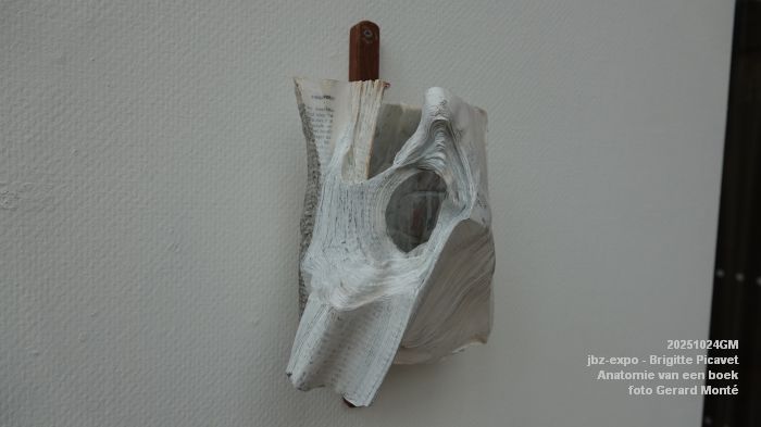 DSC08897- jbz-expo - Brigitte Picavet - Anatomie van een boek - 24okt2025 - foto GerardMontE DSC08897- jbz-expo - Brigitte Picavet - Anatomie van een boek - 24okt2025 - foto GerardMontE