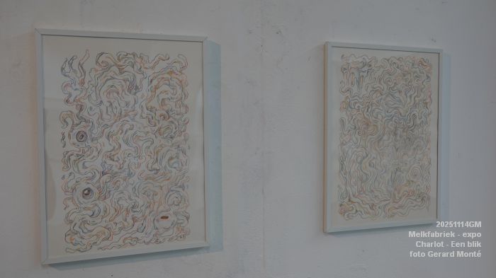 DSC02332- Melkfabriek - Charlot - Een blik - 14nov2025 - foto GerardMontE DSC02332- Melkfabriek - Charlot - Een blik - 14nov2025 - foto GerardMontE