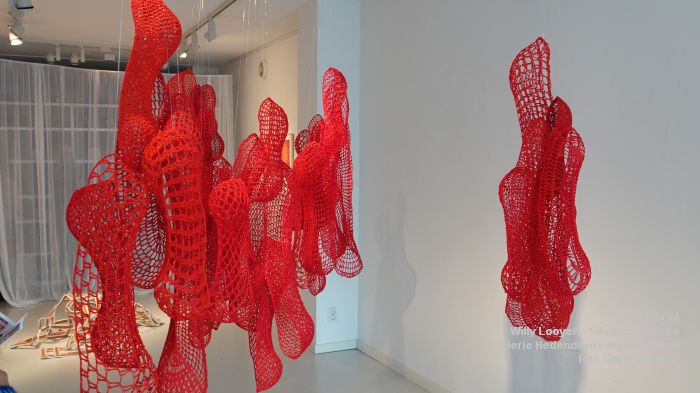 DSC03157- Willy Looyen - Silencing Voices - Hedendaags Kunstkabinet - 22nov2025 -  foto GerardMontE