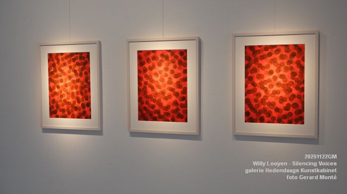 DSC03163- Willy Looyen - Silencing Voices - Hedendaags Kunstkabinet - 22nov2025 -  foto GerardMontE