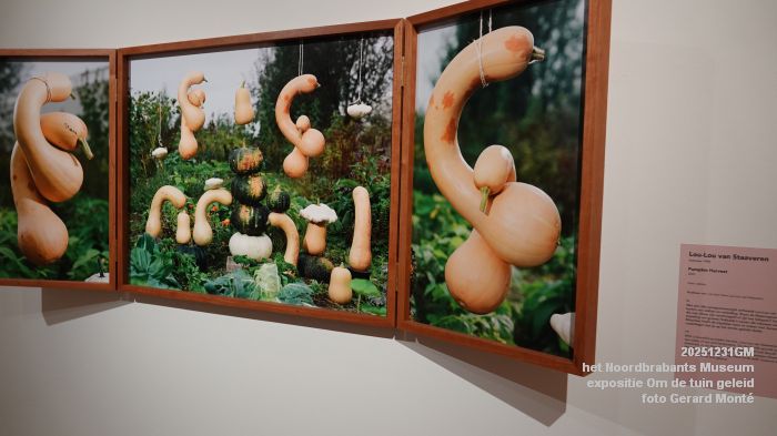 DSC08767- het Noordbrabants Museum - Om de tuin geleid - 31dec2025 -  foto GerardMontE