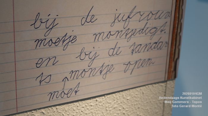 DSC09215- Hedendaags Kunstkabinet  - Meij Gommers - Topos - 4jan2026 -  foto GerardMontE