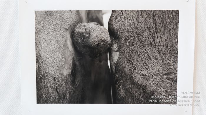 DSC02360- JBZ-expo Tussen land en zee - Frans Beerens en Jessica Knoot - 4feb2026 - foto GerardMontE DSC02360- JBZ-expo Tussen land en zee - Frans Beerens en Jessica Knoot - 4feb2026 - foto GerardMontE